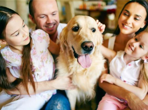 háziállat a családban