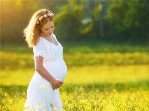 A terhesség 15. hete