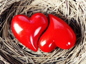 érzelmi intelligencia