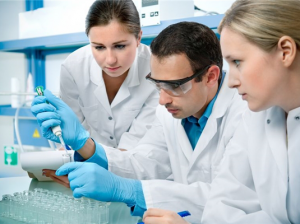 Agyat növesztettek, agy