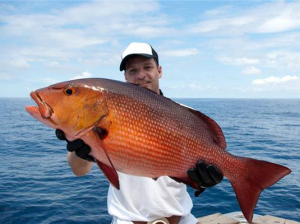 hal, tanulmány, nők