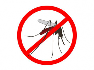szúnyogok ellen, szúnyog