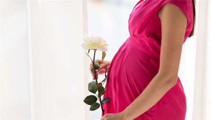 A terhesség 12. hete