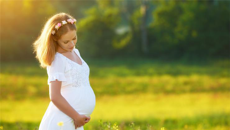 A terhesség 15. hete