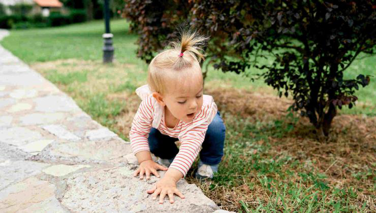 Az állatos játékok és mesék szerepe a gyermekek fejlődésében