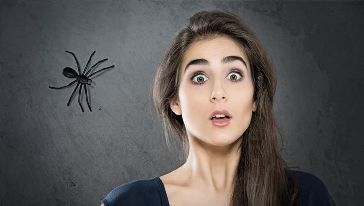 félelem, pókiszony