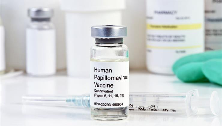 humán papillomavírus, hpv