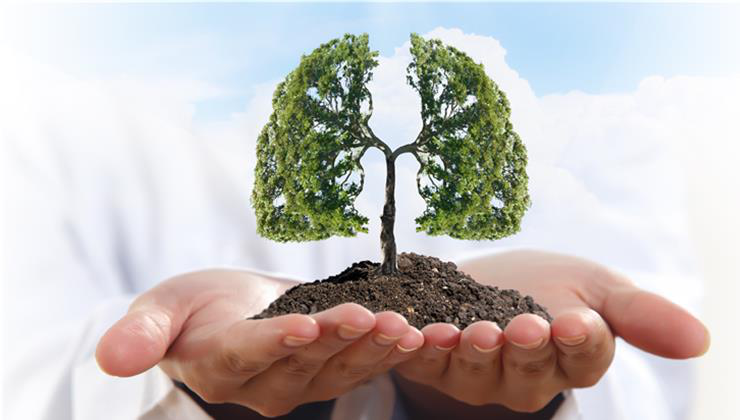 Videójátékokkal a szürkeállományért