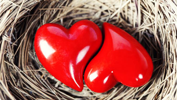 érzelmi intelligencia