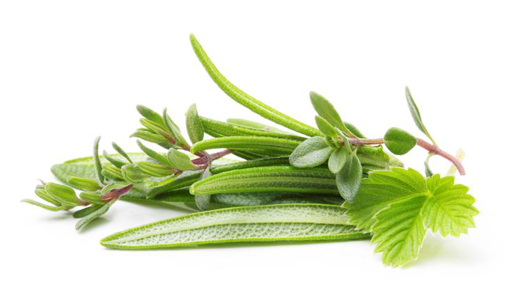 gyógynövények, fűszernövények