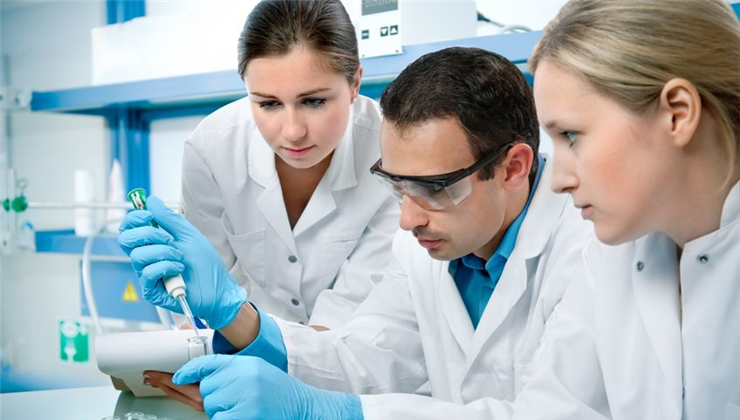 Agyat növesztettek, agy