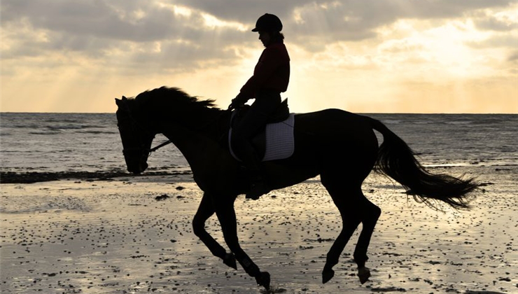 Lovaglás, izmos fenék