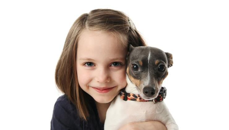 tanulási zavarok és állatterápia