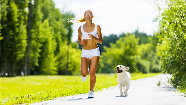 edzés, kutya, edzés kutyával