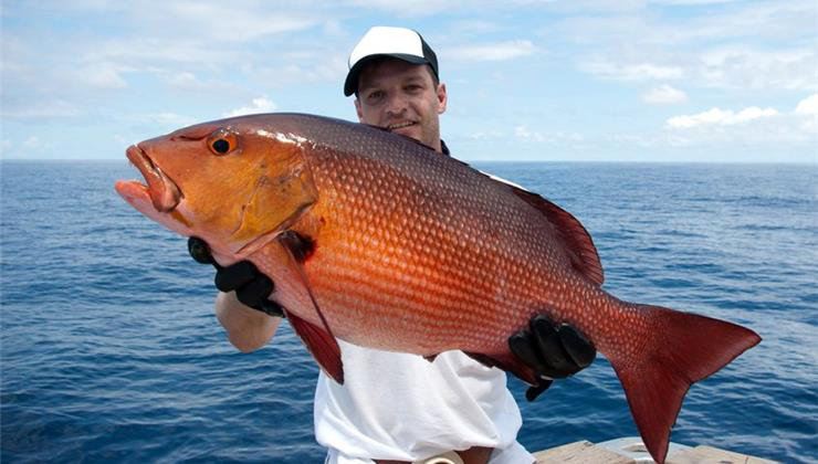 hal, tanulmány, nők