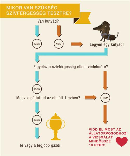 sz&iacute;vf&eacute;rgess&eacute;g infografika