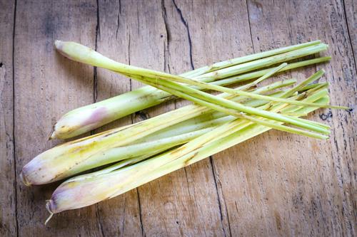 citromfű szörp citromfű szörp