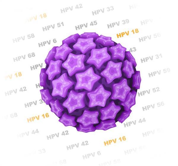 a humanpapillomavirus, hpv egyik kórokozója a humanpapillomavirus, hpv egyik kórokozója